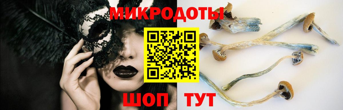 Галлюциногенные грибы Magic Shrooms  Вход с VPN  Соликамск  Псилоцибиновые грибы MAGIC MUSHROOMS 