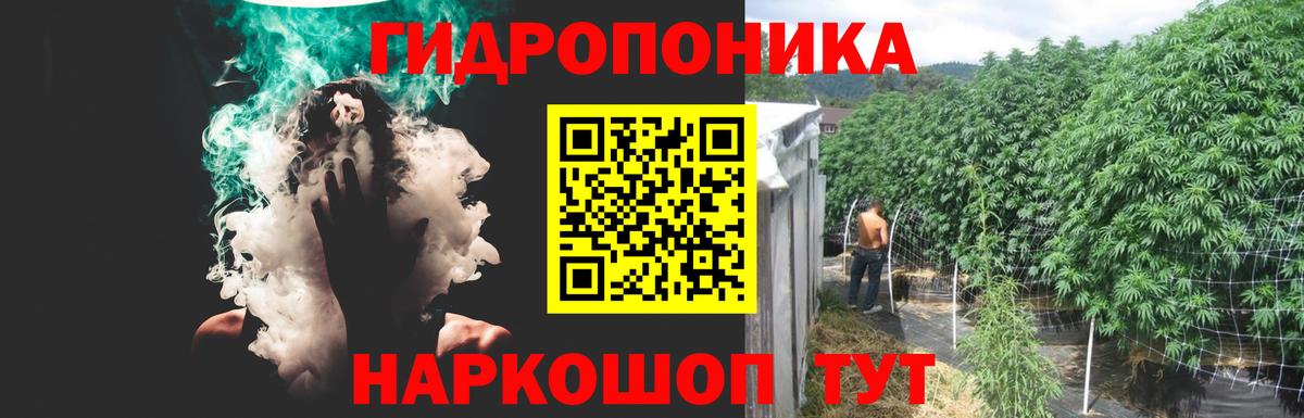 Конопля VHQ  Вход с VPN  Бошки Шишки конопля  МАРИХУАНА THC 21%  Соликамск  Бошки Шишки семена 